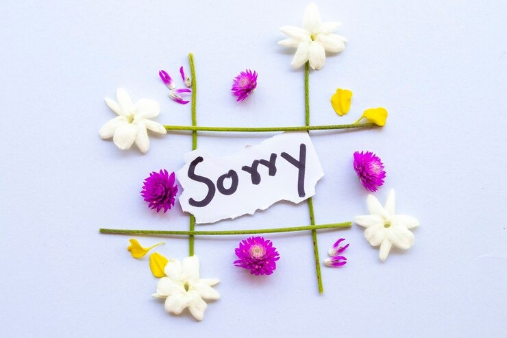 The Best Flowers for Apology and Forgiveness