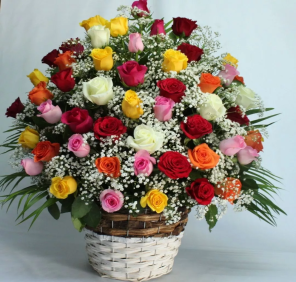 50 mix color roses