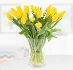 20 yellow tulips