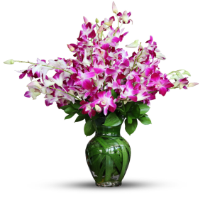 purple orchid flowers delivery in Dubai