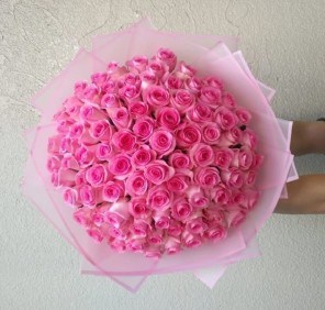 101 light pink roses