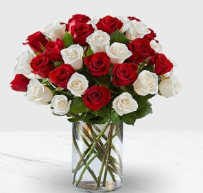 51 red white roses vase