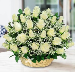 25 white roses basket